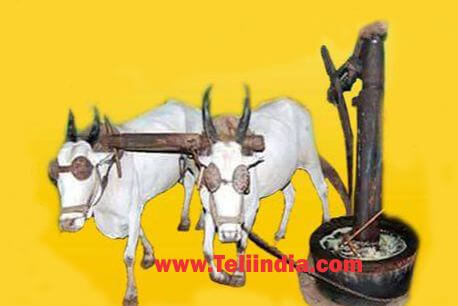 Teli Sahu Caste
